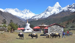 Tenboche Nepal mit Blick auf den Mont Everest