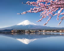 japan Kirschblüte Fujiyama