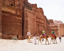 Kamele vor der Felsenstadt Petra in Jordanien
