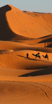 Marokko Wüste mit Karawane
