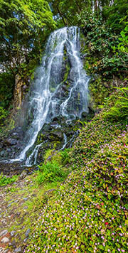 Wasserfall auf Sao Miguel auf den Azoren