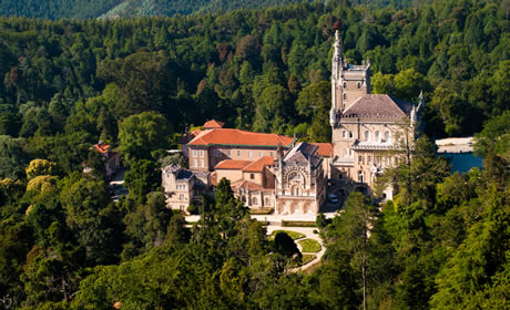 Reisetipps für den Märchenwald von Coimbra