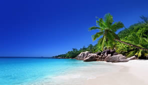 Seychellen Traumstrand mit Palmen