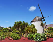 Fuerteventura Mühle 
