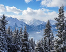 Winterwald in Österreich mit Bergpanorama 