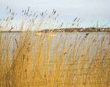 Wasserlandschaft von Roskilde