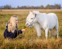 Mädchen füttert Pony