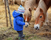 Kleinkind und Pferde