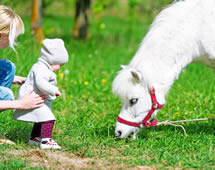 Kleinkind mit Pferd