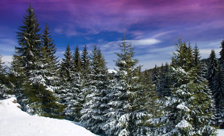 Winterurlaub im Harz