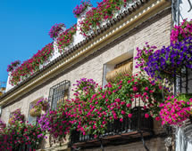 Blumen an Häusern in Cordoba