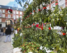Spanien Madrid Weihnachtsmarkt Mistelzweig