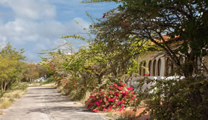 Karibik Curacao Landstraße mit Haus
