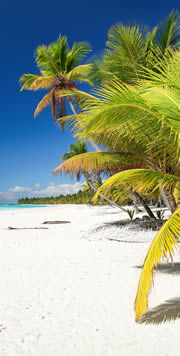 Dominikanische Republik Karibischer Strand mit Palmen