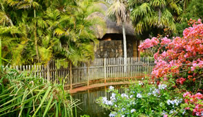Mauritius tropischer Garten