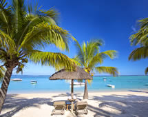 Mauritius weißer Strand mit Palmen