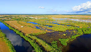 Vogelperspektive auf die Everglades in Florida
