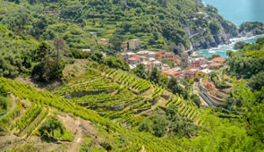 Landschaft im Nationalpark Cinque Terre