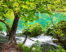 Seenlandschaft Plitvicer Nationalpark Kroatien