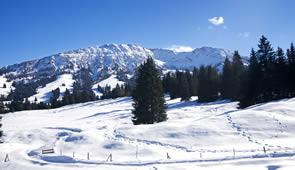 Winterlandschaft in den Bayrischen Alpen