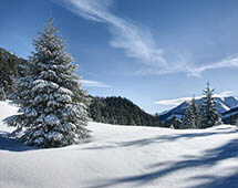 Winterlandschaft in der Hohen Tatra