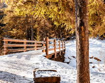 verschneiter Winterwald mit Holzbrücke